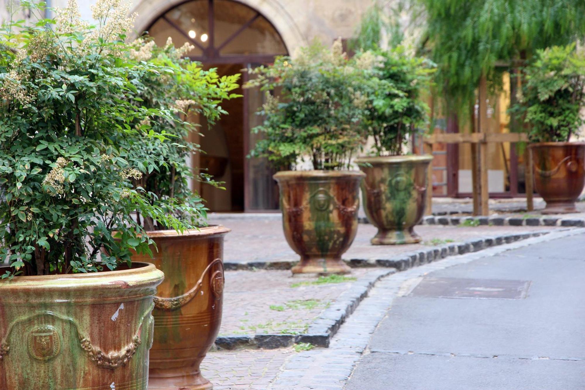 Le Jardin Secret - Balneo & Spa Montpellier Esterno foto